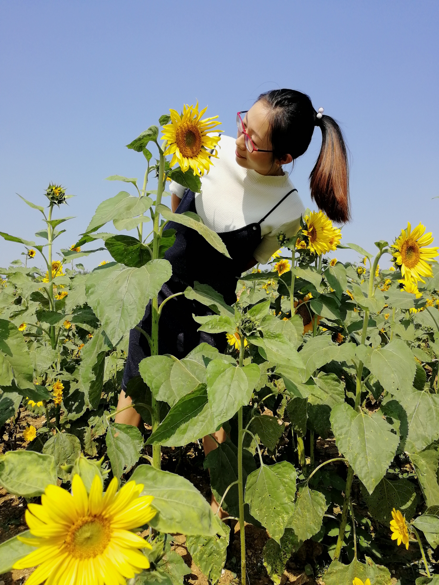 成都花仙子价格5.99万起 暂无优惠