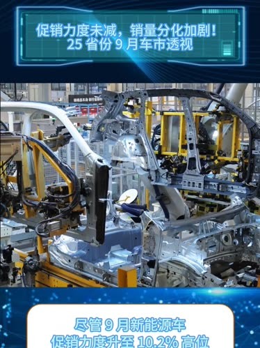 繁荣与阵痛:2025上半年中国车市分化加剧