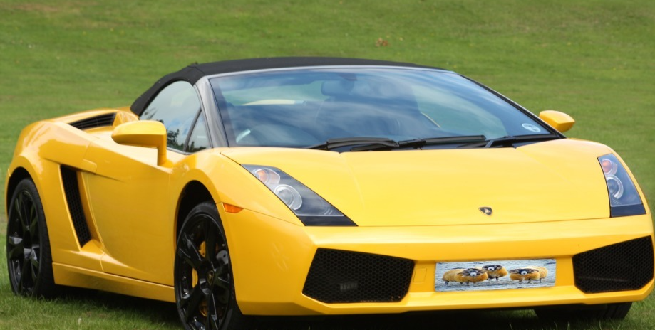 人保车险|原来车险的种类这么多