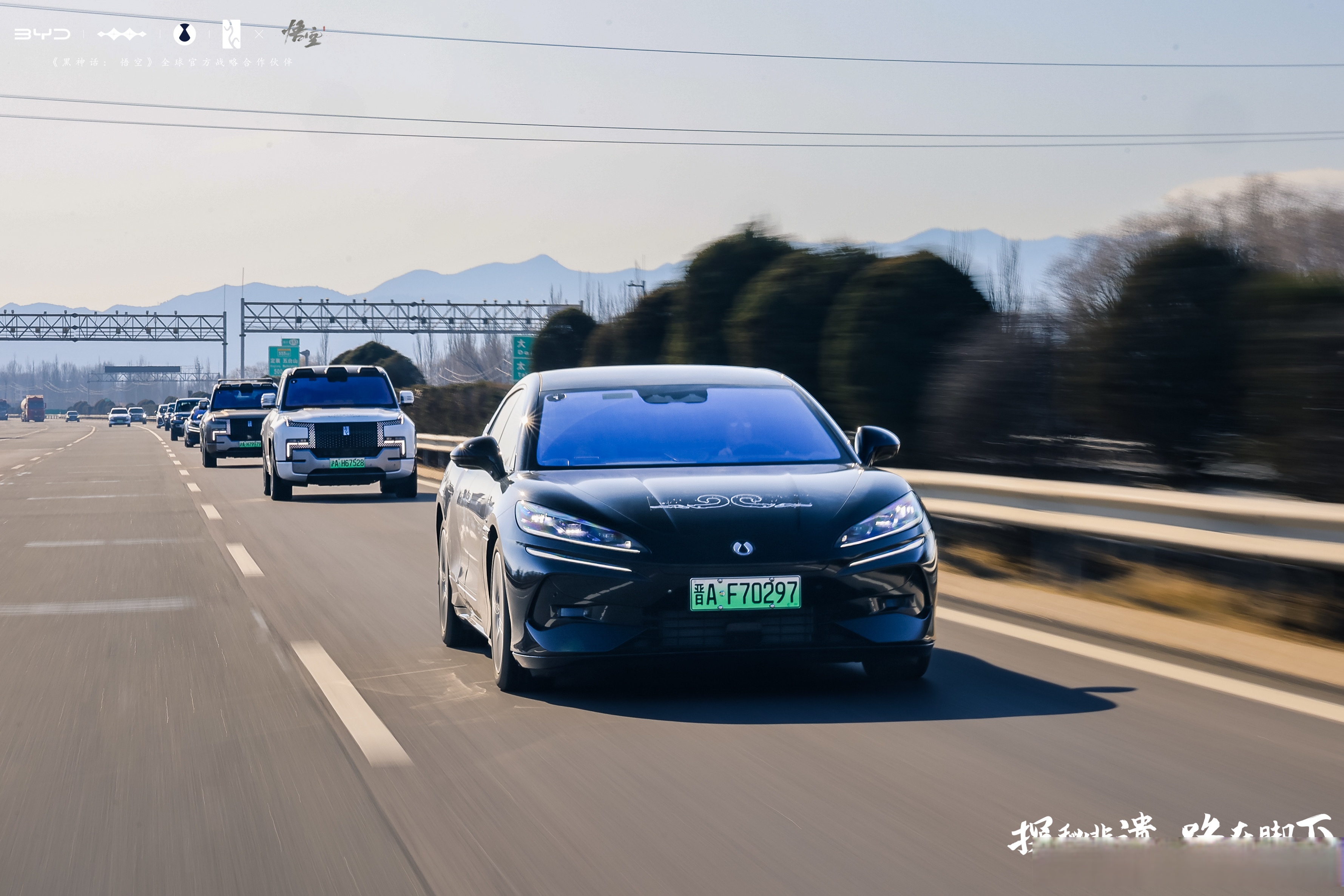 见证国产新能源车成长壮大